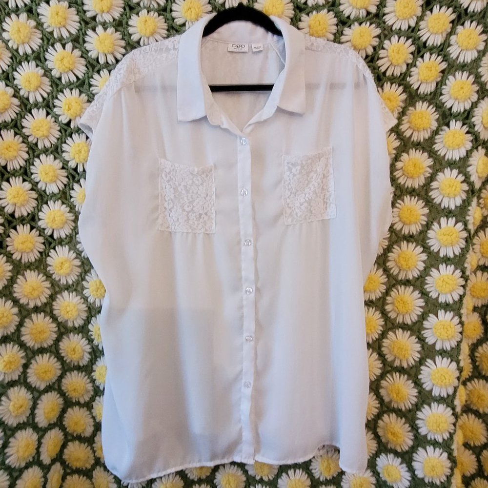 Sheer Blouse with Lacy Accents
